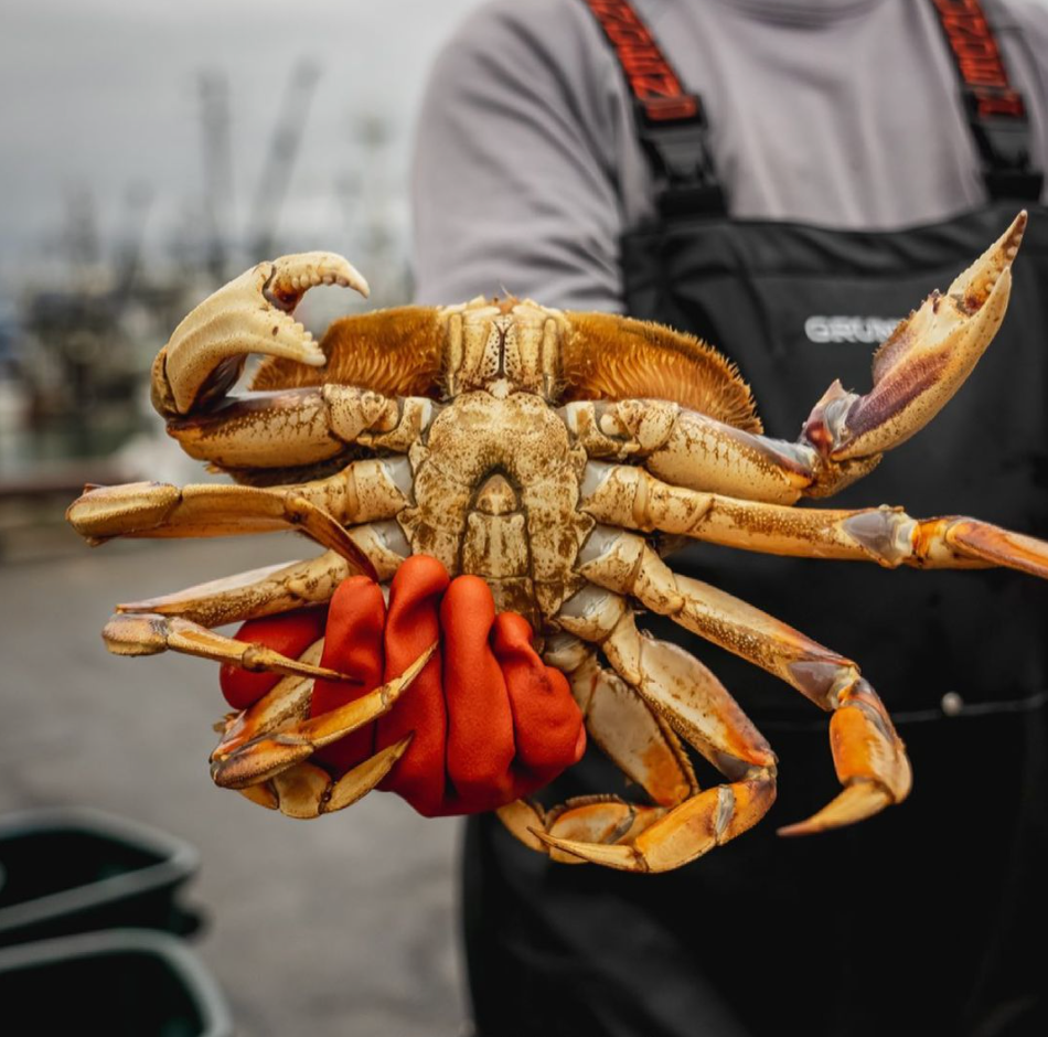 How to Steam Dungeness Crab Safely
