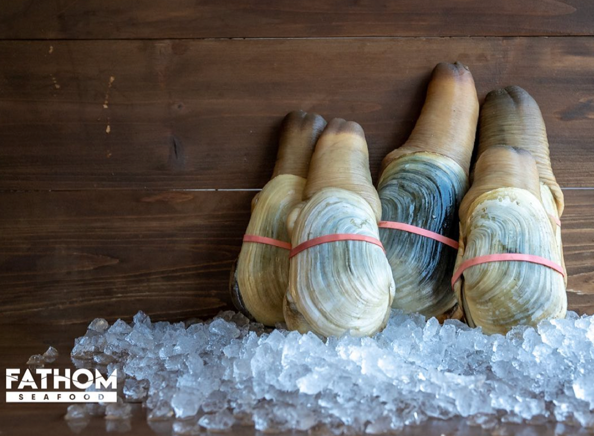 What is Geoduck? Fathom Seafood