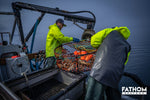 How are Dungeness Crab caught?
