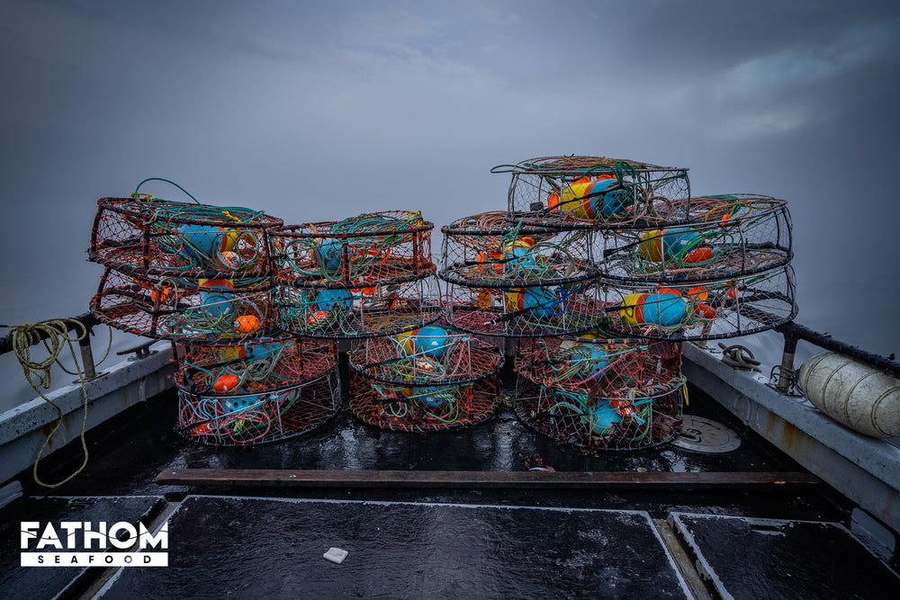 Where are Dungeness Crab caught?