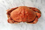 How to Cook Live Dungeness Crab: Step by Step