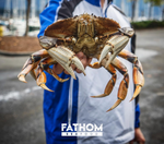 Why Live Dungeness Crab Tastes Better and Fresher 