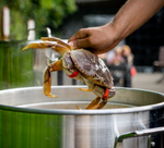 Is Dungeness Crab a Healthy Choice?