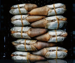What is the Price of Geoduck?