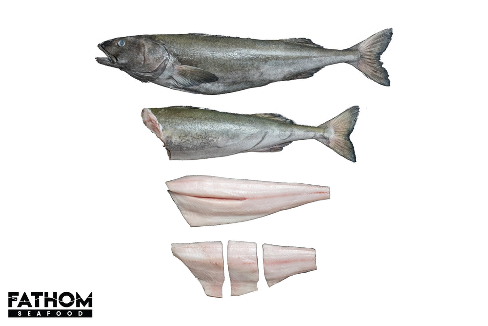 Big Black Cod Fish