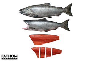 
                  
                    Load image into Gallery viewer, King Salmon
                  
                